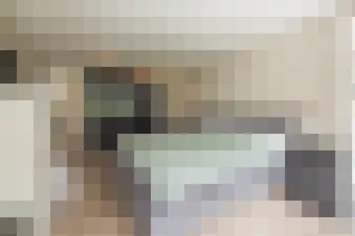 Sonatestraat 20 Arnhem thumbnail 21