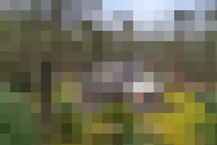 Sonatestraat 20 Arnhem thumbnail 25