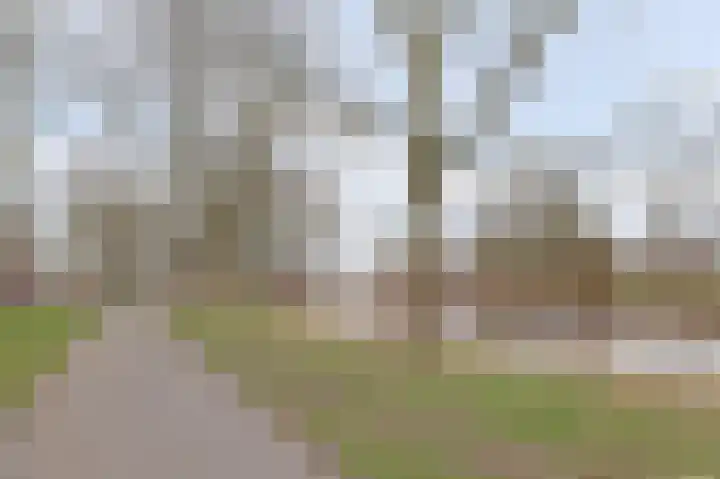 Sonatestraat 20 Arnhem thumbnail 52