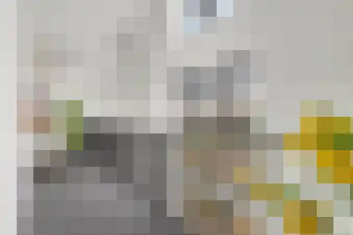 Sonatestraat 20 Arnhem thumbnail 9