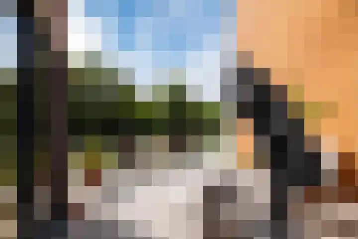 Sonatestraat 23 Hellevoetsluis thumbnail 27