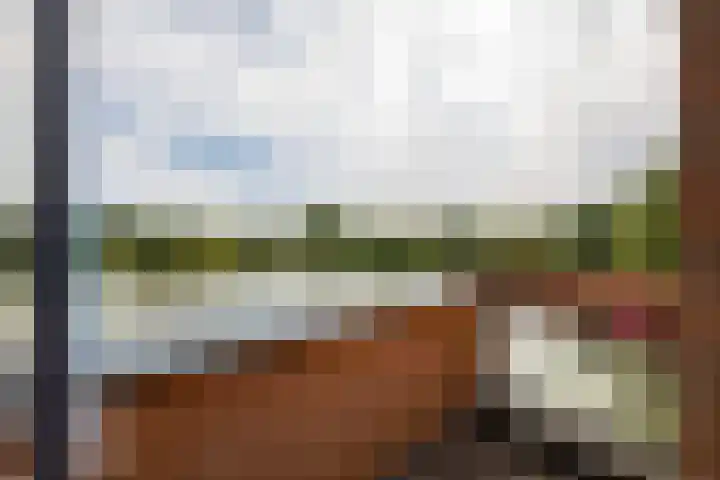 Sonatestraat 23 Hellevoetsluis thumbnail 4