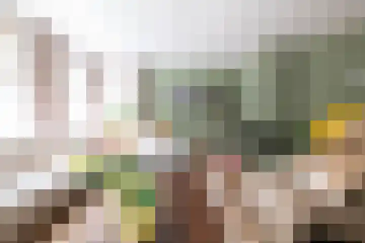 Sonatestraat 5 Hellevoetsluis thumbnail 11