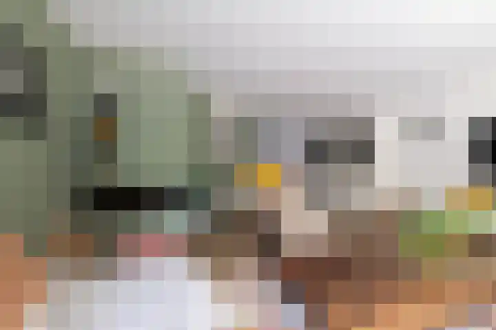 Sonatestraat 5 Hellevoetsluis thumbnail 12