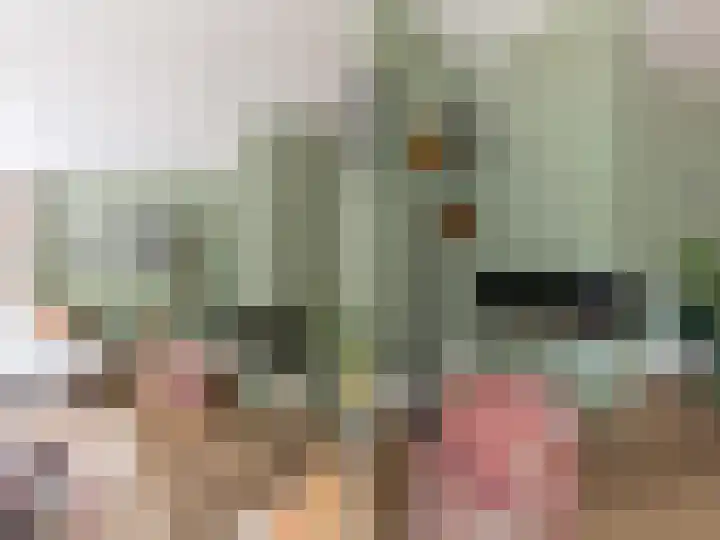 Sonatestraat 5 Hellevoetsluis thumbnail 13