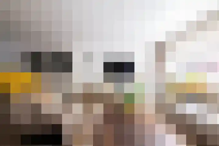 Sonatestraat 5 Hellevoetsluis thumbnail 14