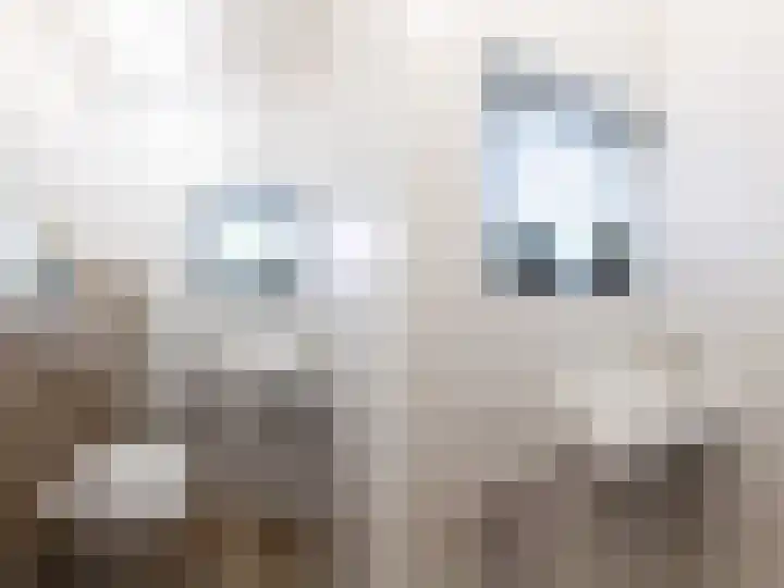Sonatestraat 5 Hellevoetsluis thumbnail 20