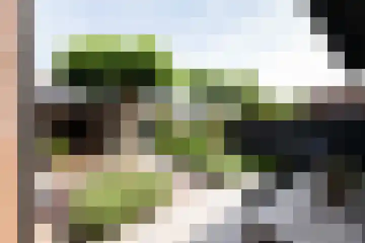 Sonatestraat 5 Hellevoetsluis thumbnail 22