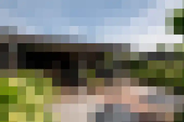 Sonatestraat 5 Hellevoetsluis thumbnail 23