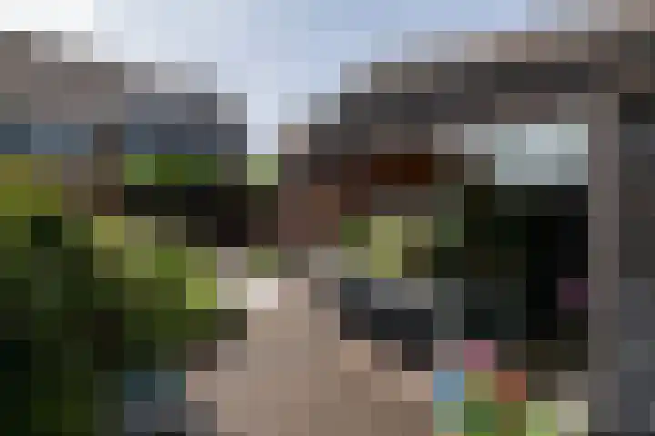 Sonatestraat 5 Hellevoetsluis thumbnail 26
