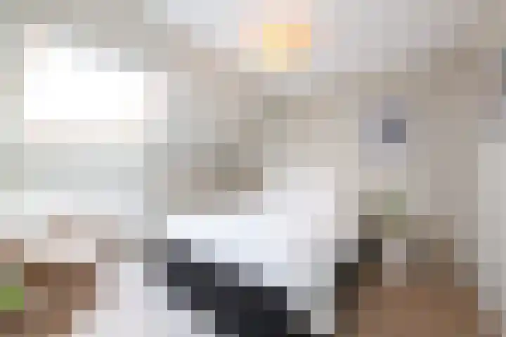 Sonatestraat 5 Hellevoetsluis thumbnail 41