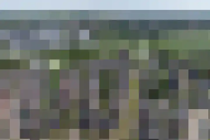 Sonatestraat 5 Hellevoetsluis thumbnail 5