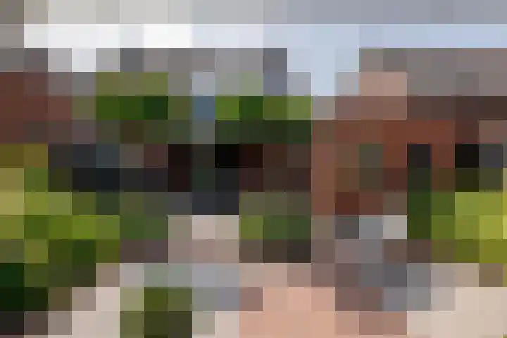 Sonatestraat 5 Hellevoetsluis thumbnail 50