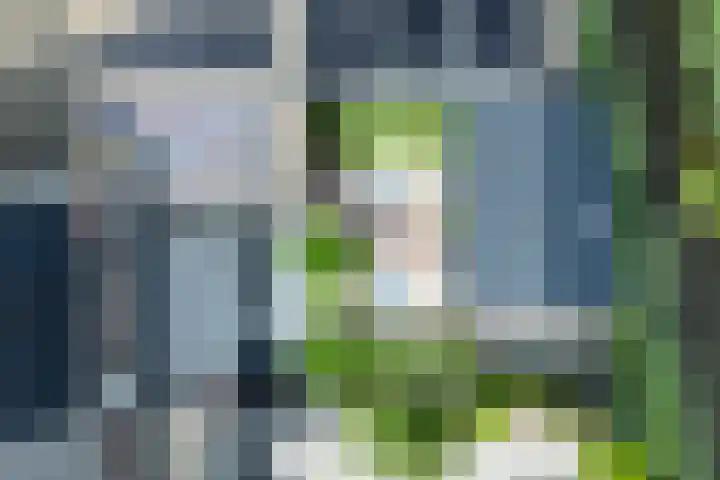 Sonatestraat 5 Hellevoetsluis thumbnail 52