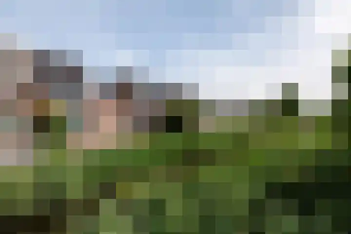 Sonatestraat 5 Hellevoetsluis thumbnail 6