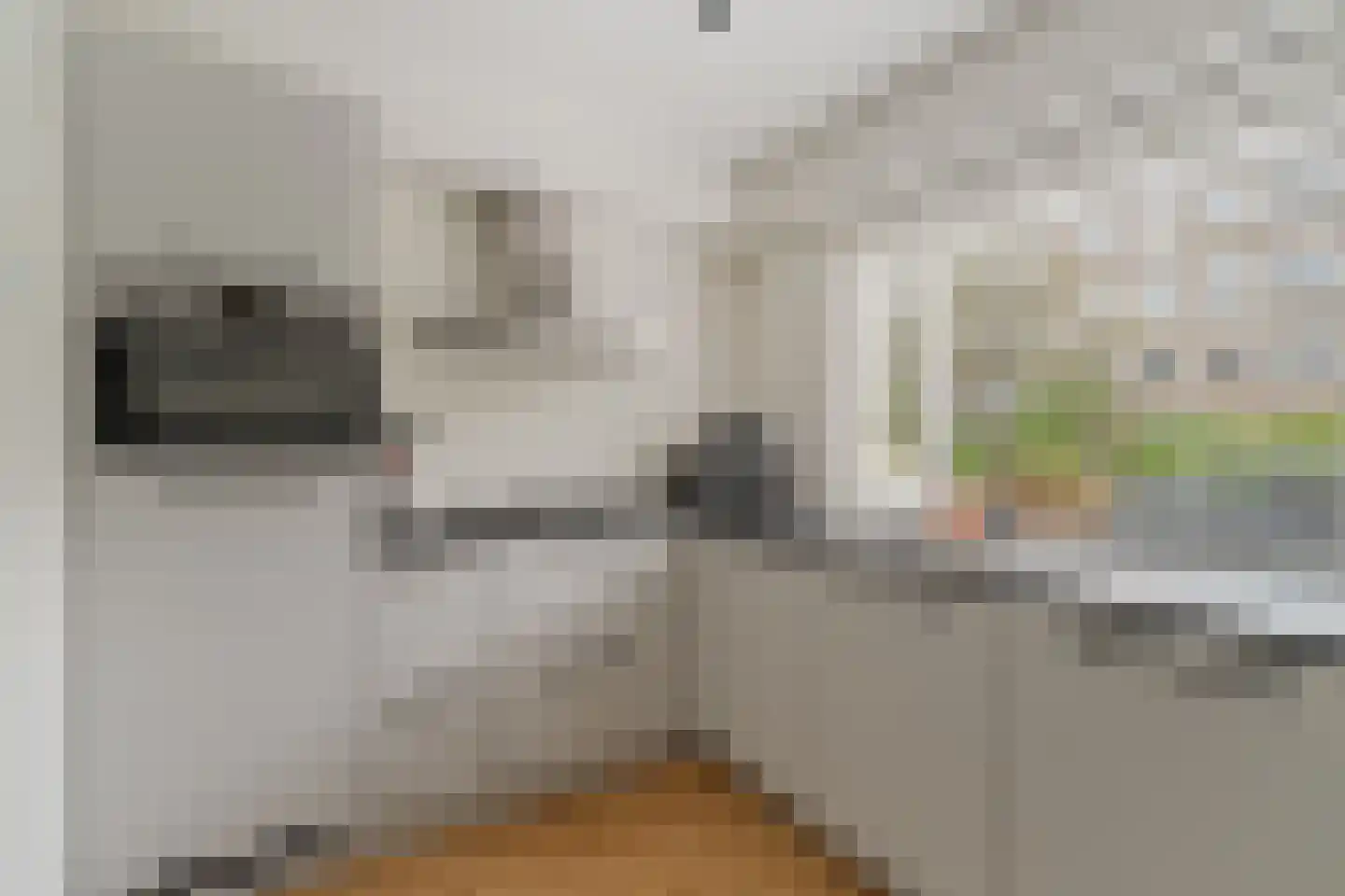 Sondauwhof 1 Noordwijk thumbnail 11
