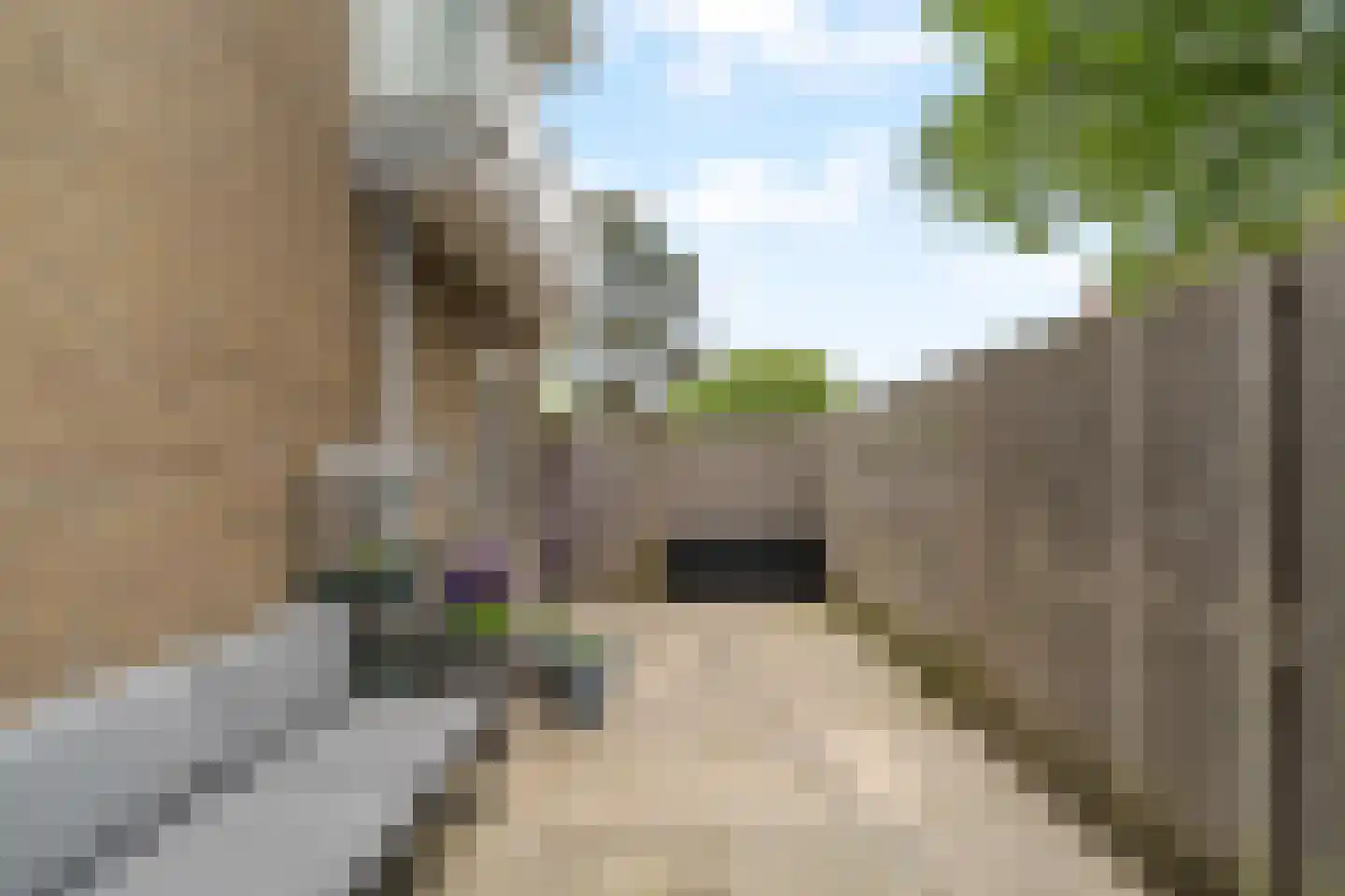 Sondauwhof 1 Noordwijk thumbnail 18