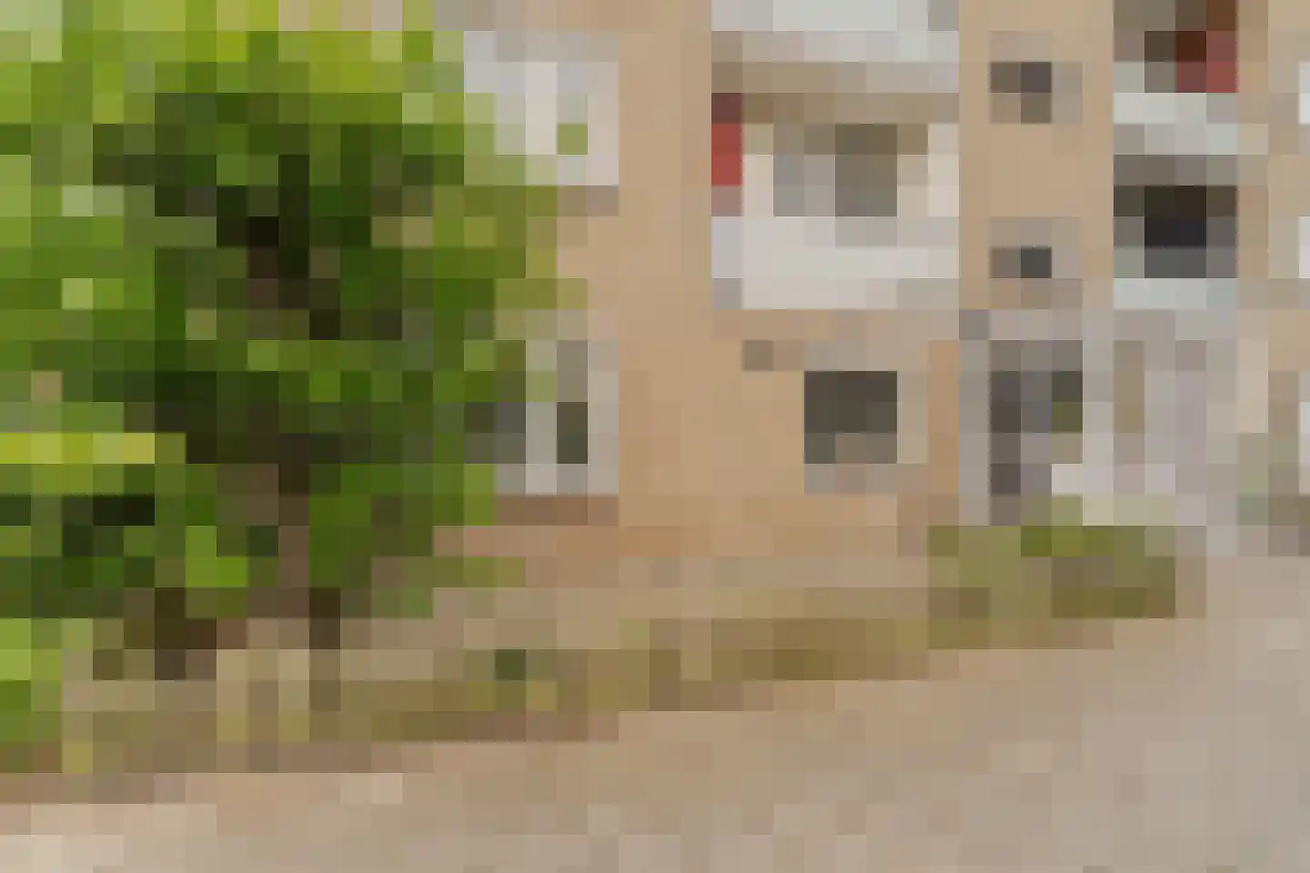 Sondauwhof 1 Noordwijk thumbnail 26