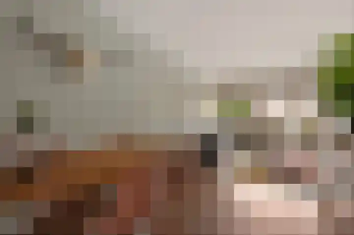 Sondauwhof 11 Noordwijk thumbnail 13