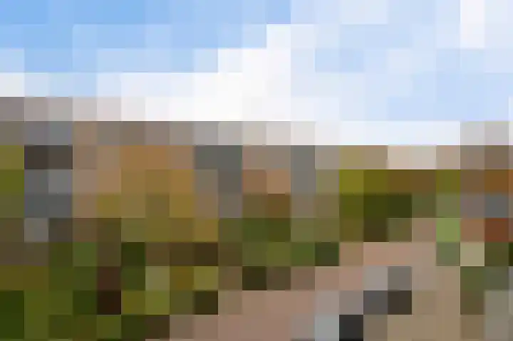 Sondauwhof 11 Noordwijk thumbnail 23