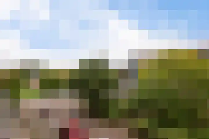 Sondauwhof 11 Noordwijk thumbnail 24