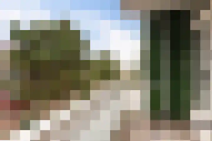 Sondauwhof 11 Noordwijk thumbnail 28