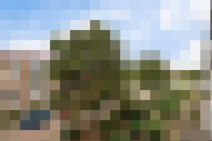 Sondauwhof 11 Noordwijk thumbnail 29
