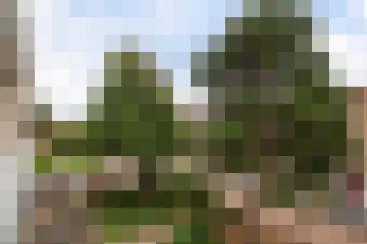 Sondauwhof 11 Noordwijk thumbnail 29