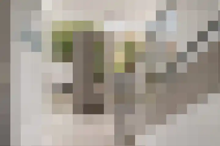Sondauwhof 11 Noordwijk thumbnail 4