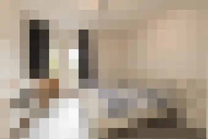 Sondauwhof 17 Noordwijk thumbnail 17