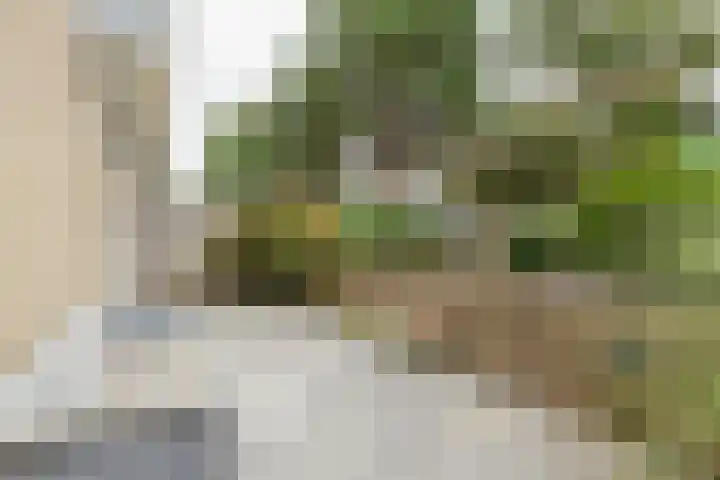 Sondauwhof 17 Noordwijk thumbnail 20