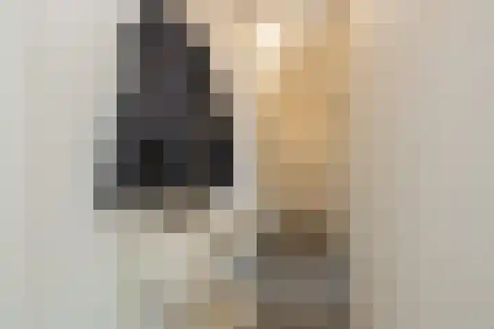 Sondauwhof 17 Noordwijk thumbnail 8