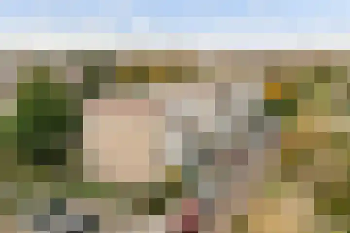 Sondauwhof 2 Noordwijk thumbnail 27