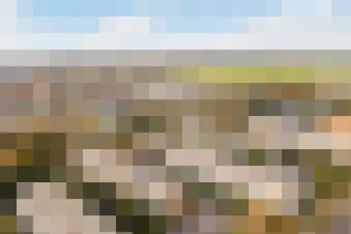 Sondauwhof 2 Noordwijk thumbnail 28
