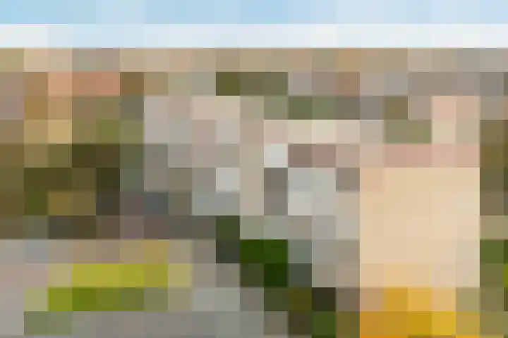Sondauwhof 2 Noordwijk thumbnail 29