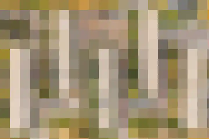 Sondauwhof 2 Noordwijk thumbnail 30