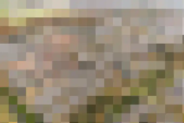 Sondauwhof 2 Noordwijk thumbnail 31