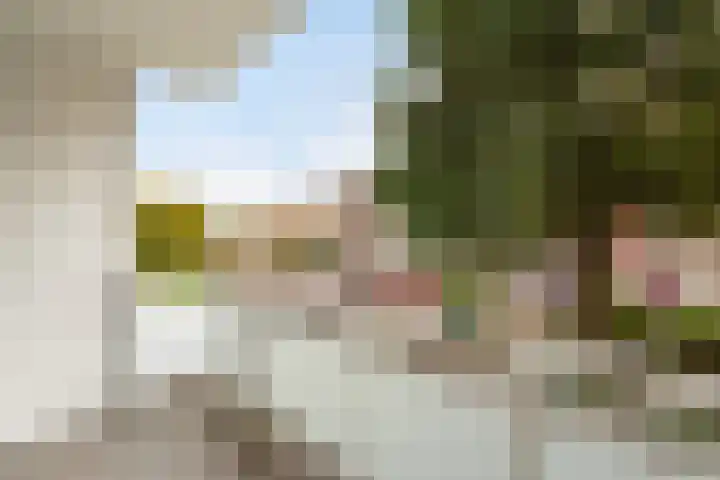 Sondauwhof 2 Noordwijk thumbnail 8