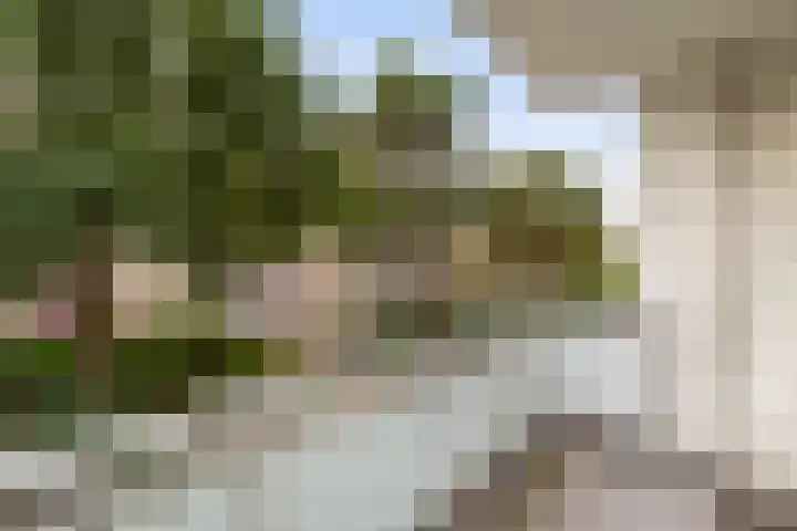 Sondauwhof 2 Noordwijk thumbnail 9