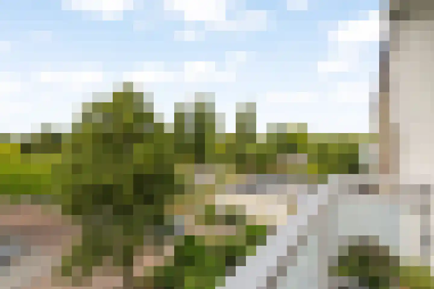 Sondauwhof 28 Noordwijk thumbnail 22