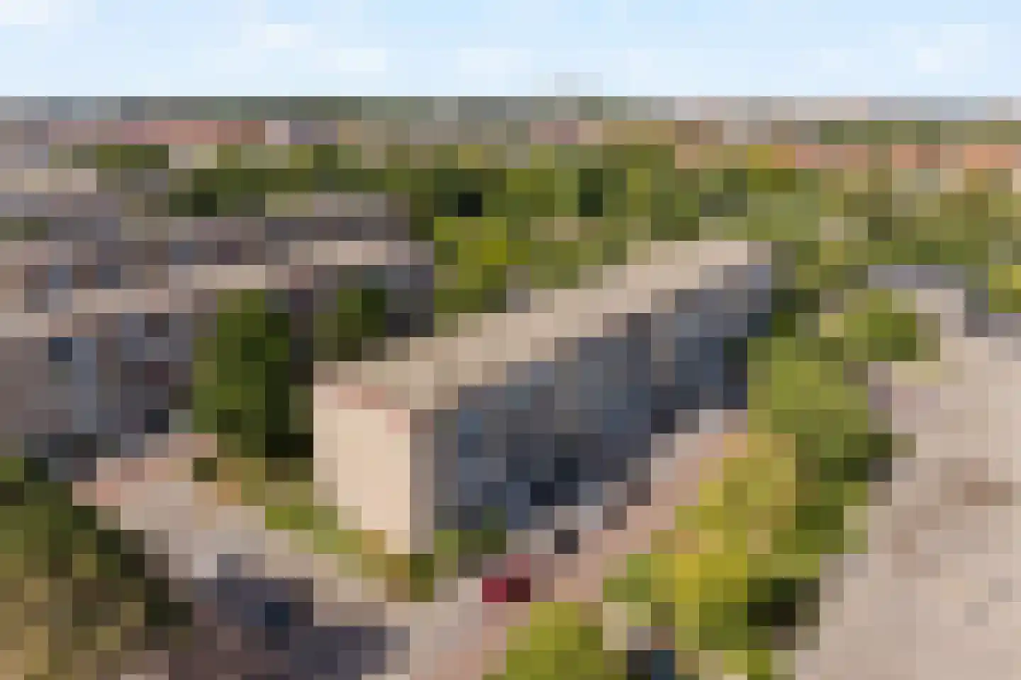 Sondauwhof 28 Noordwijk thumbnail 27