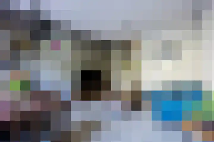 Sondauwhof 9 Noordwijk thumbnail 17