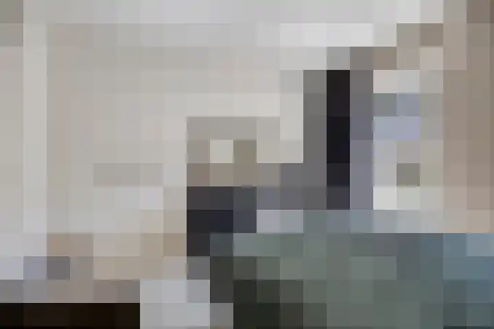 Sondauwhof 9 Noordwijk thumbnail 25