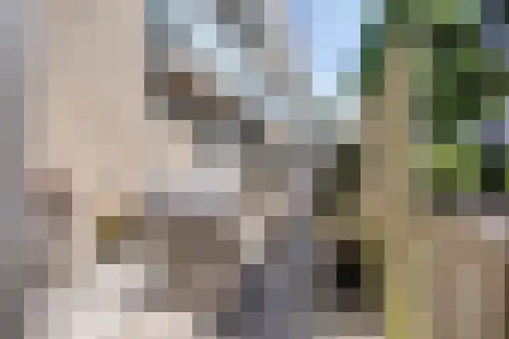 Sondauwhof 9 Noordwijk thumbnail 29