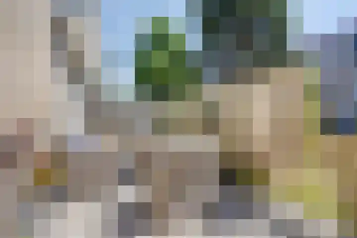 Sondauwhof 9 Noordwijk thumbnail 30