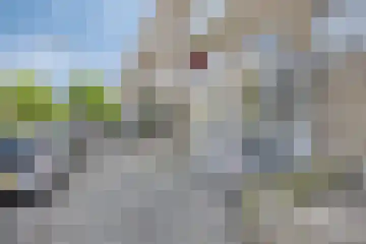 Sondauwhof 9 Noordwijk thumbnail 6