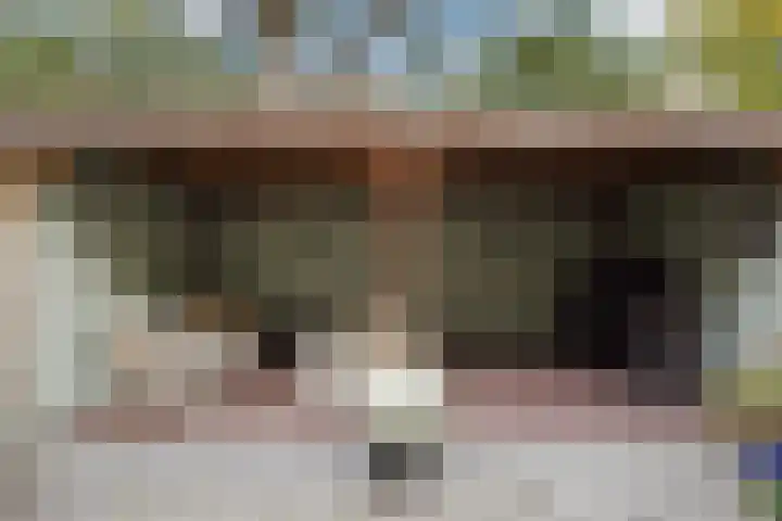Sonderdankstraat 18 Den Haag thumbnail 4