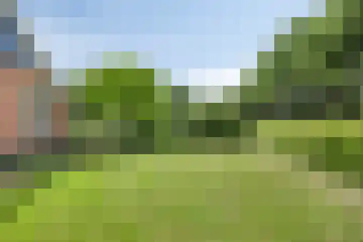 Sonderenstraat 67 Haaksbergen thumbnail 5