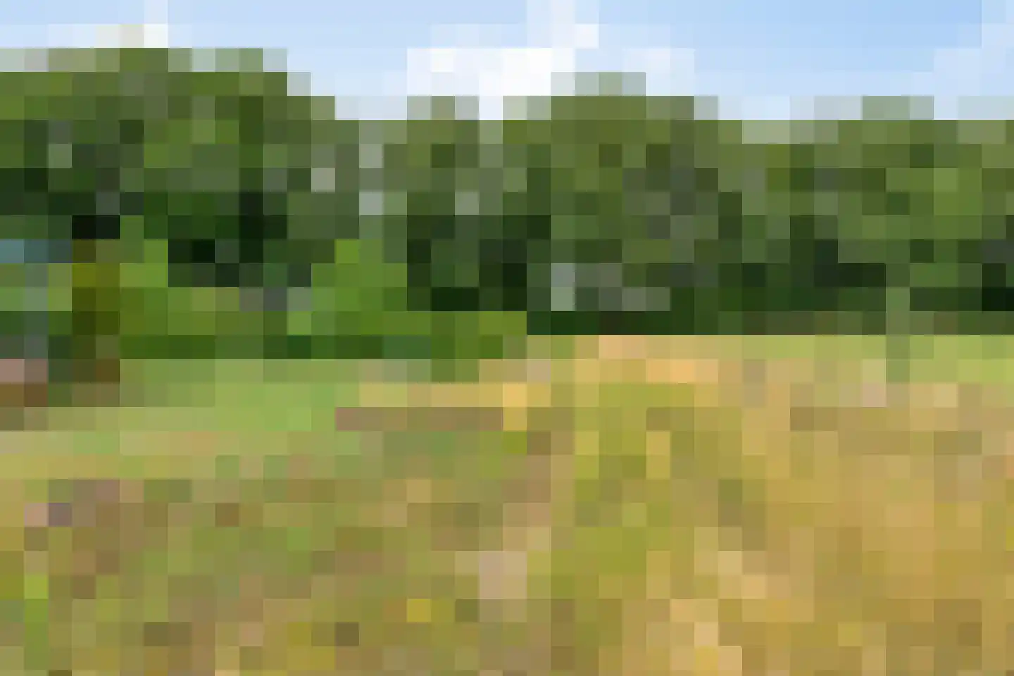 Sonderenstraat 69 Haaksbergen thumbnail 5