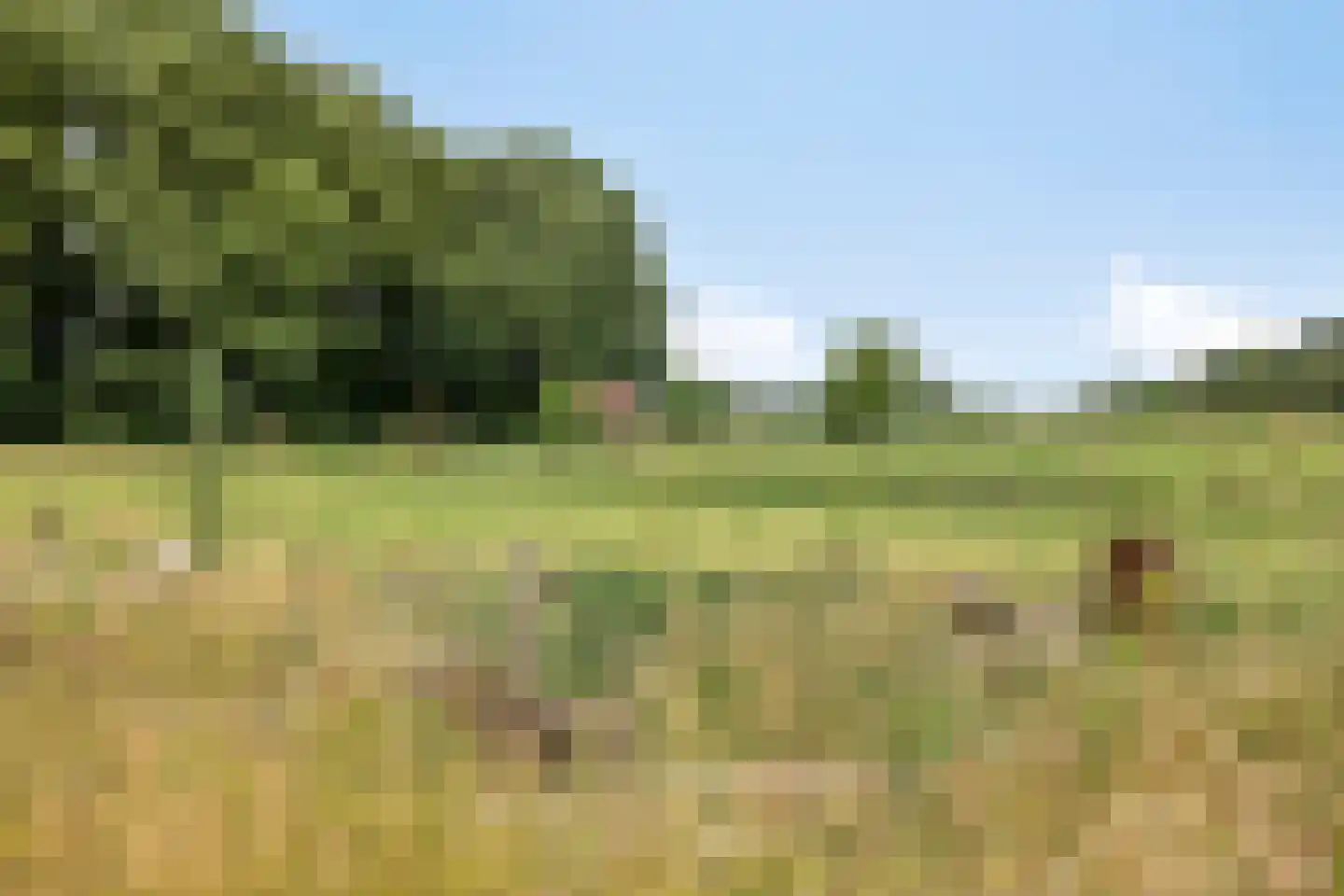 Sonderenstraat 69 Haaksbergen thumbnail 6